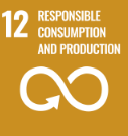 Goal 12: Responsible consumption and production