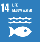 Goal 14: Life below water